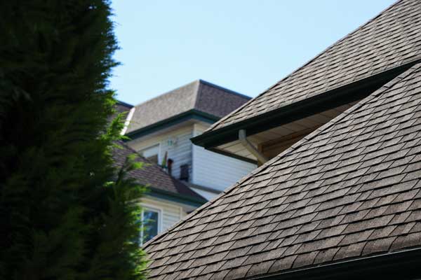 Quality Roofing Installation